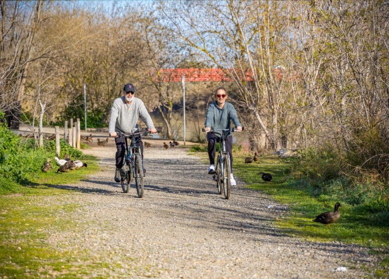 CIRCUIT ENTRE ORB, MER ET ÉTANG – ESPACE VTT-FFC BEZIERS MEDITERRANEE