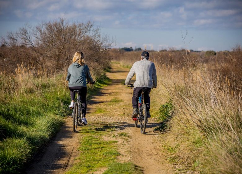CIRCUIT ENTRE ORB, MER ET ÉTANG – ESPACE VTT-FFC BEZIERS MEDITERRANEE