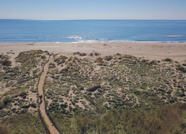 ROUTE DES VINS ENTRE MER ET ETANGS