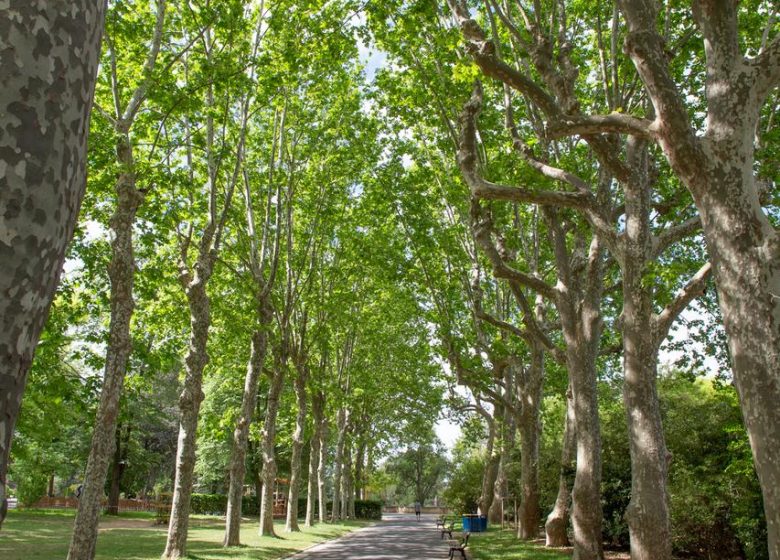 JARDIN DE LA PLANTADE ET MOULINS CORDIER