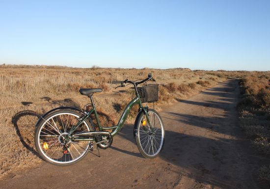 VÉLO VERT