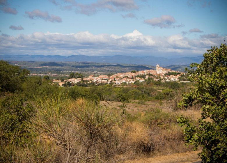 OENORANDO® LES HAUTS DE CORNEILHAN